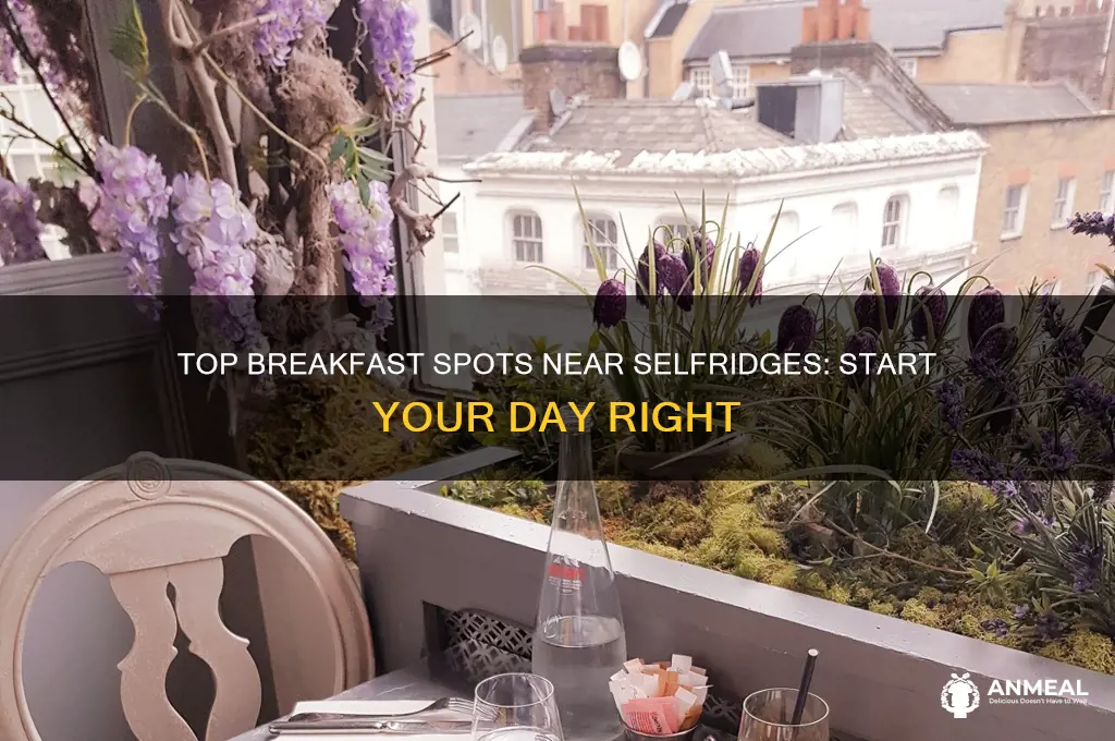 where to have breakfast near selfridges