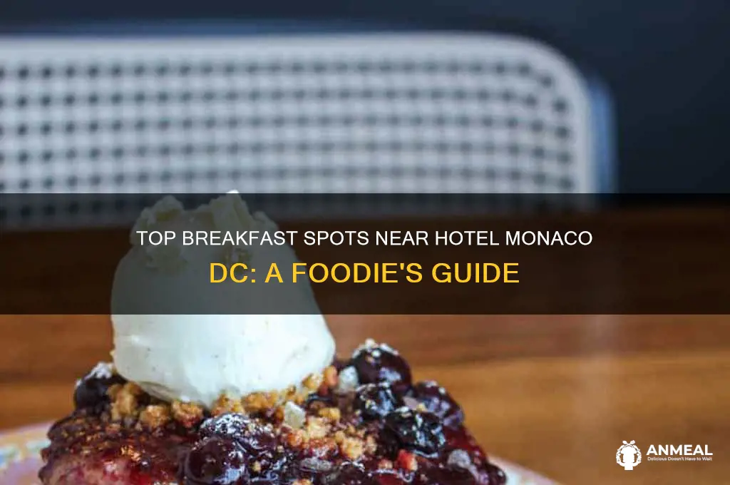 where to have breakfast near the hotel monaco dc