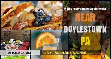 Best Breakfast & Brunch Spots Near Doylestown, PA: Top Picks