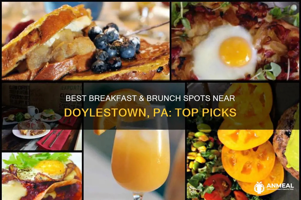 where to have breakfast or brunch near doylestown pa