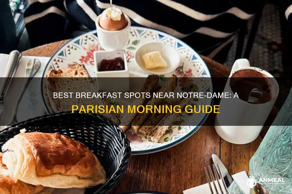 where to have breakfast paris near notredame