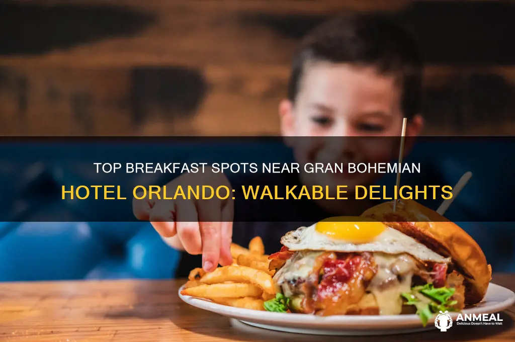 where to have breakfast walking distance from gran bohemianhotel orlando