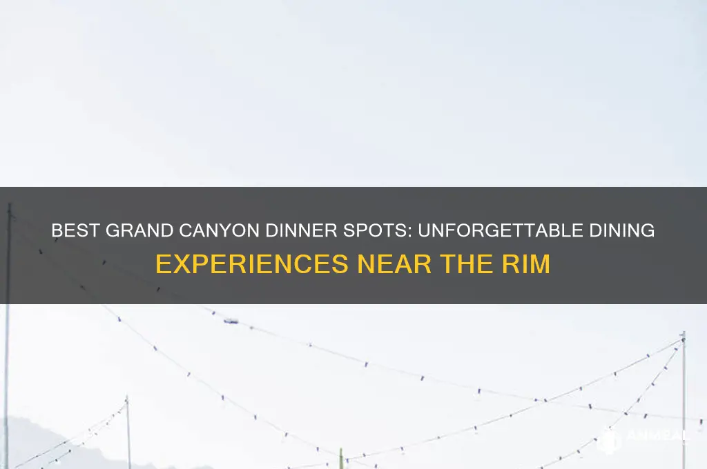 where to have dinner at grand canyon