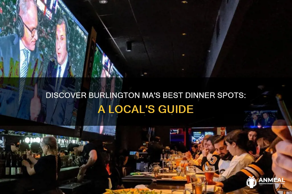 where to have dinner burlington ma