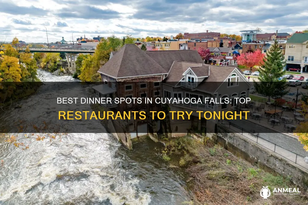 where to have dinner cuyahoga falls