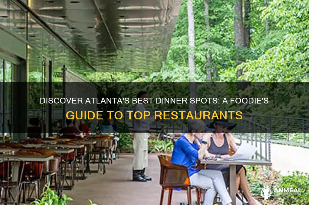 where to have dinner in atlanta georgia