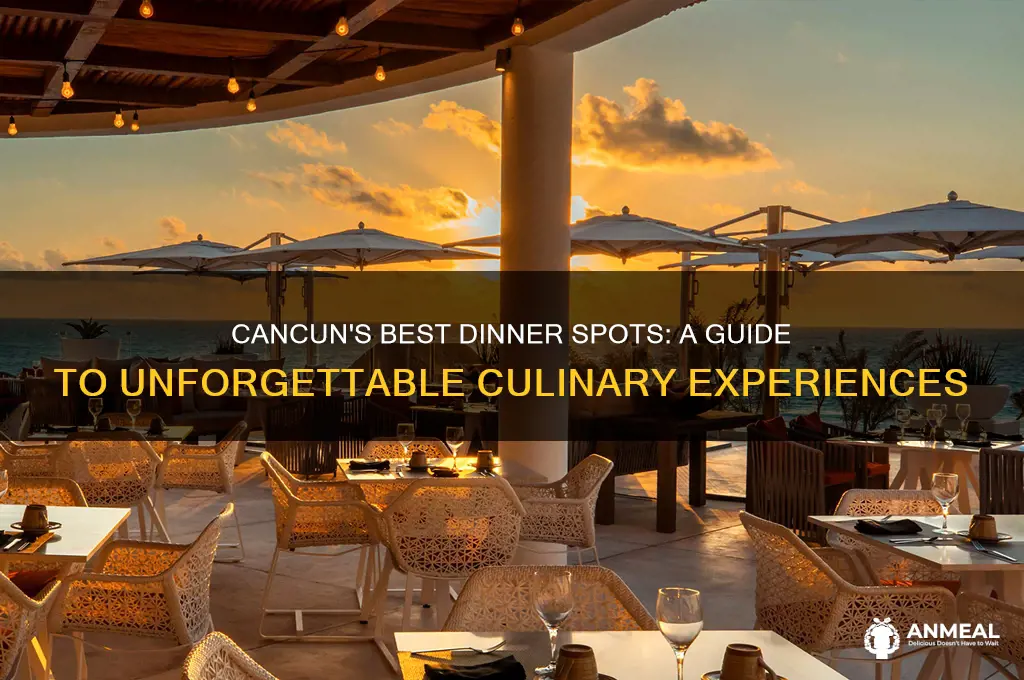 where to have dinner in cancun