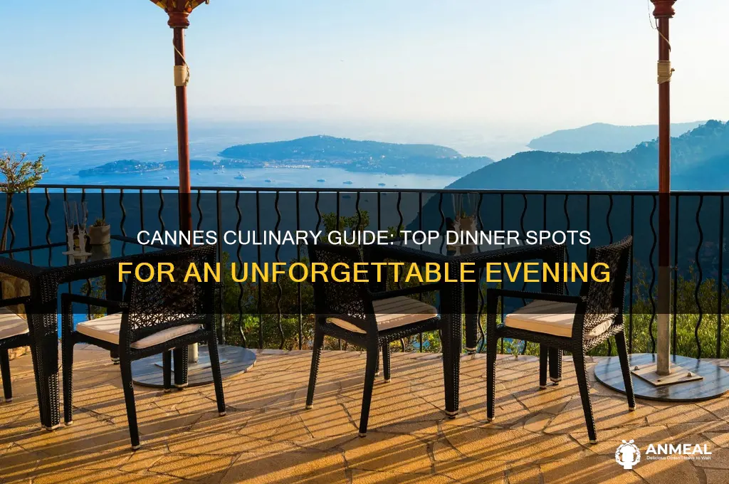 where to have dinner in cannes