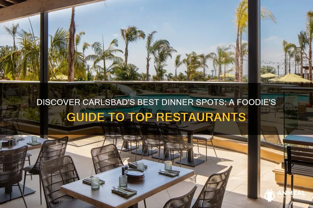 where to have dinner in carlsbad