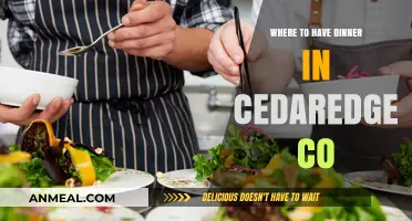 Discover Cedaredge CO's Best Dinner Spots: A Local's Guide
