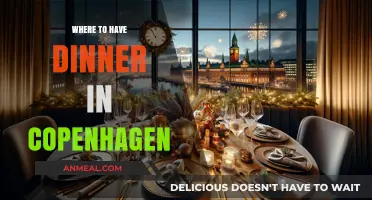 Copenhagen's Top Dinner Spots: A Foodie's Guide to the Best Restaurants
