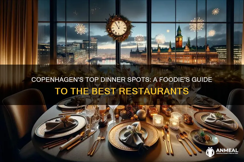where to have dinner in copenhagen