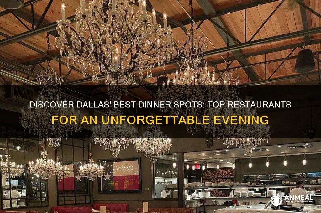 where to have dinner in dallas