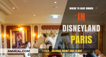 Top Dinner Spots in Disneyland Paris: A Magical Culinary Guide