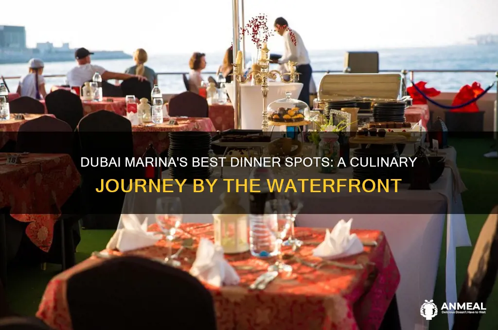 where to have dinner in dubai marina