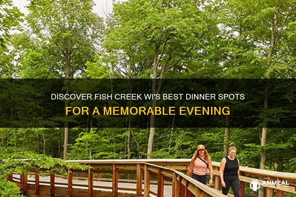 where to have dinner in fish creek wi