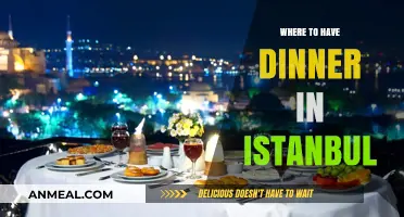 Istanbul's Best Dinner Spots: A Culinary Journey Through the City