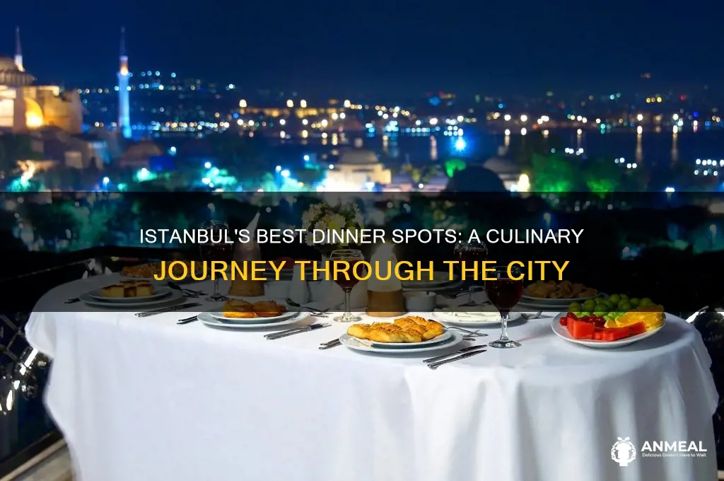 where to have dinner in istanbul