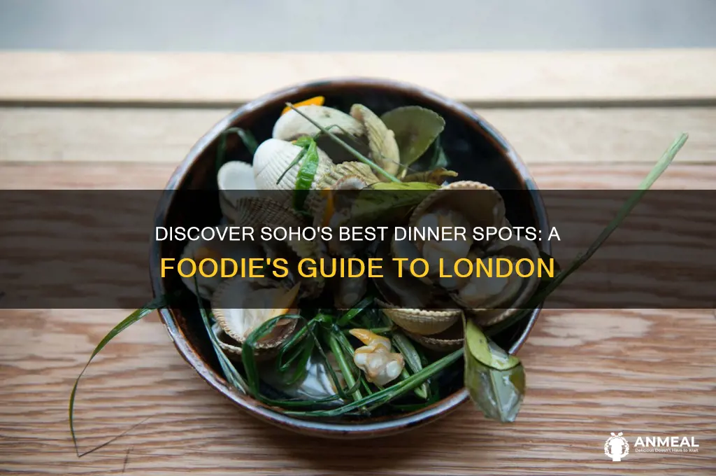where to have dinner in london soho