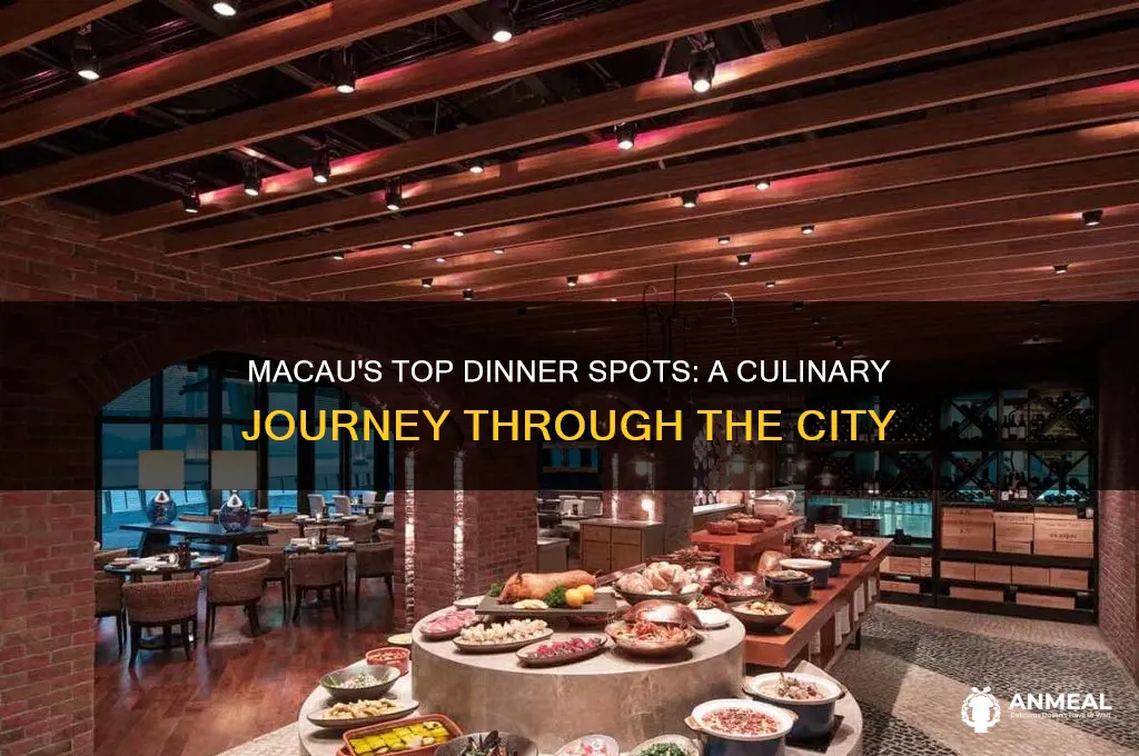 where to have dinner in macau