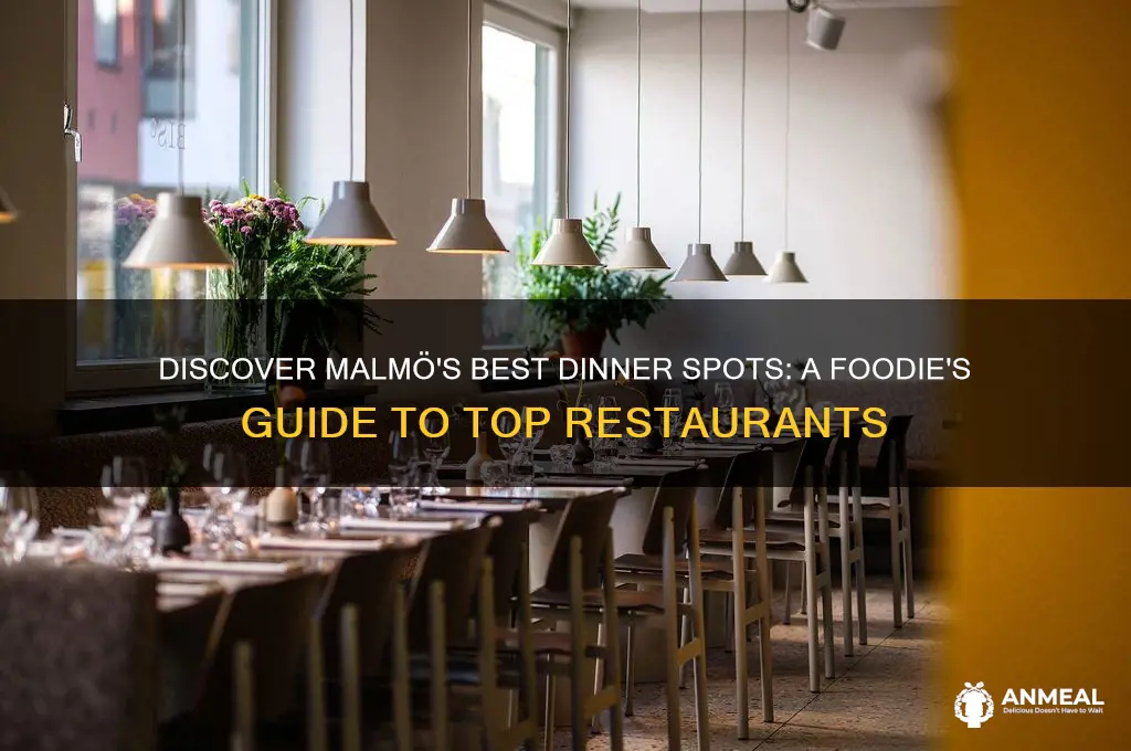 where to have dinner in malmo