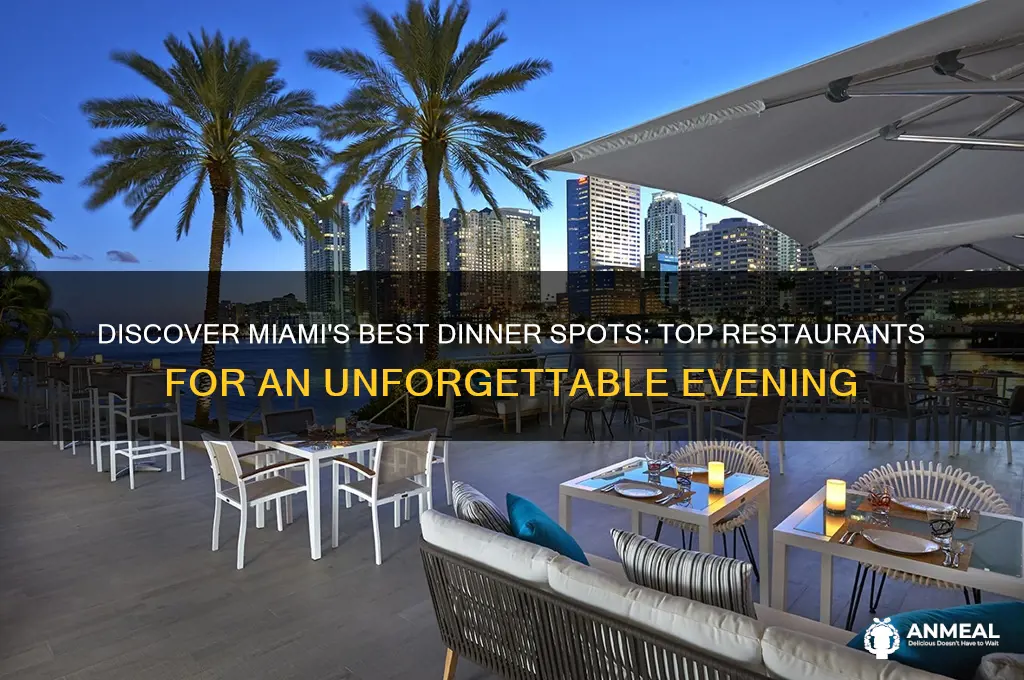 where to have dinner in miami