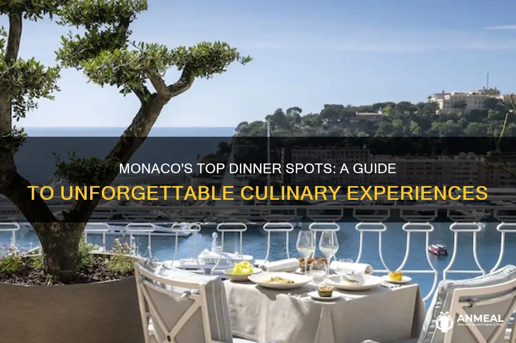 where to have dinner in monaco