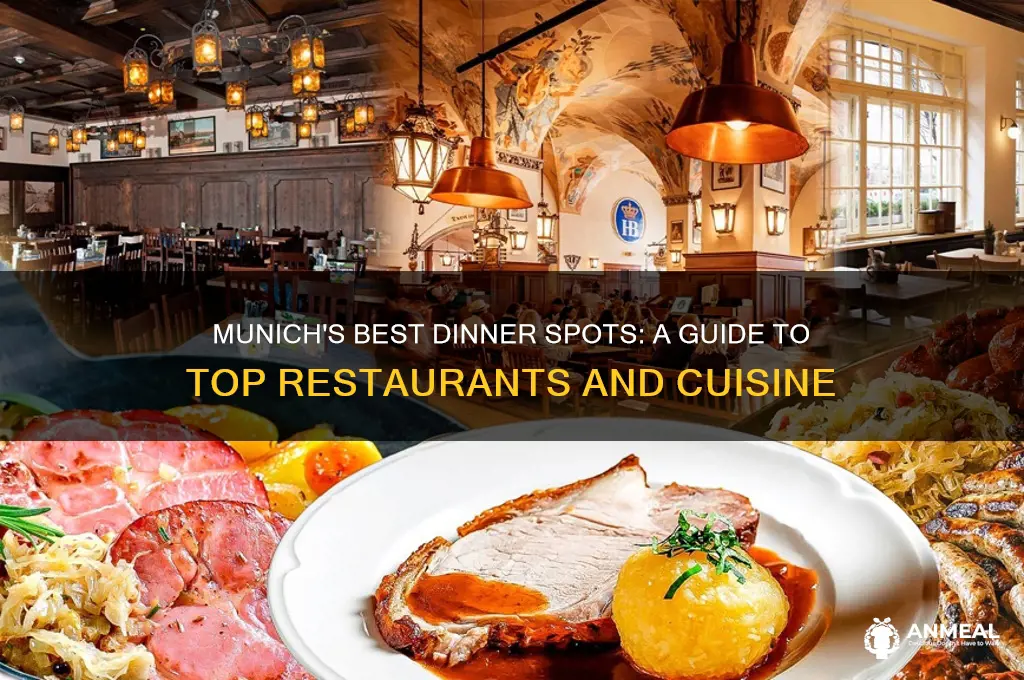 where to have dinner in munich