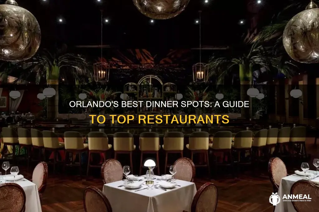 where to have dinner in orlando