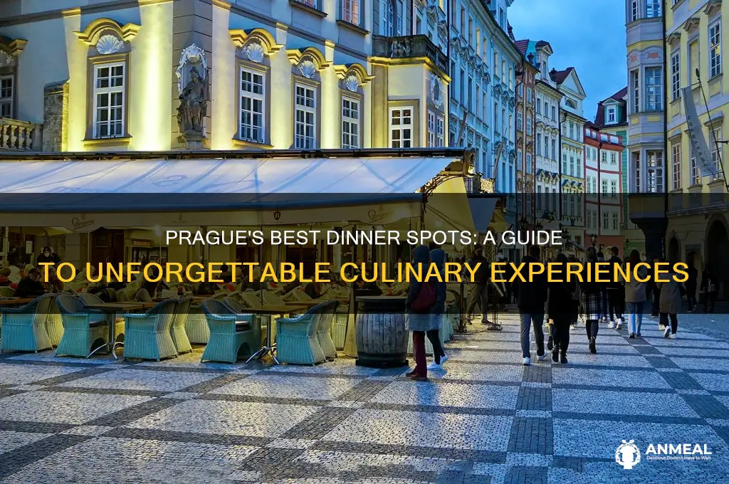 where to have dinner in prague