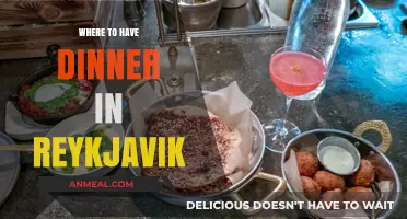 Reykjavik's Best Dinner Spots: A Guide to Top Restaurants