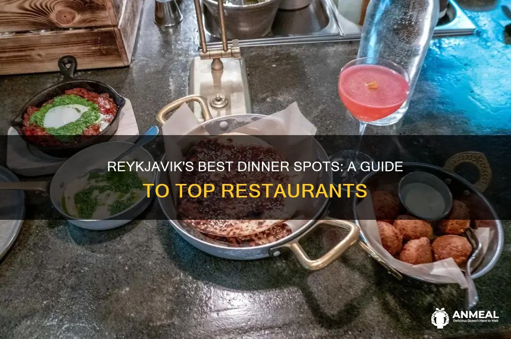 where to have dinner in reykjavik