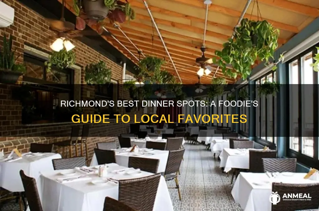 where to have dinner in richmond va