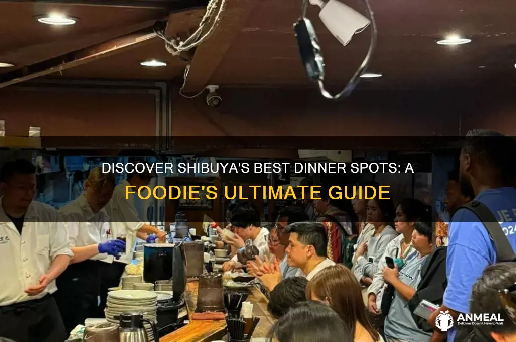 where to have dinner in shibuya