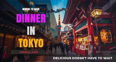 Discover Tokyo's Best Dinner Spots: A Culinary Adventure Awaits