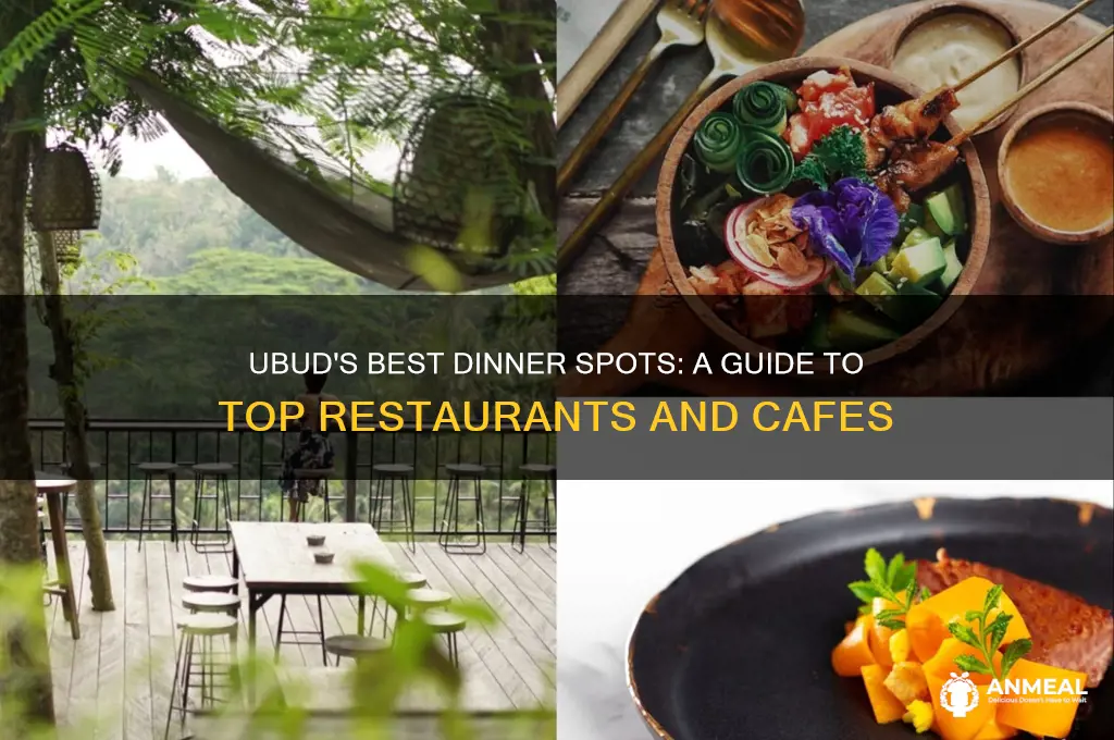 where to have dinner in ubud