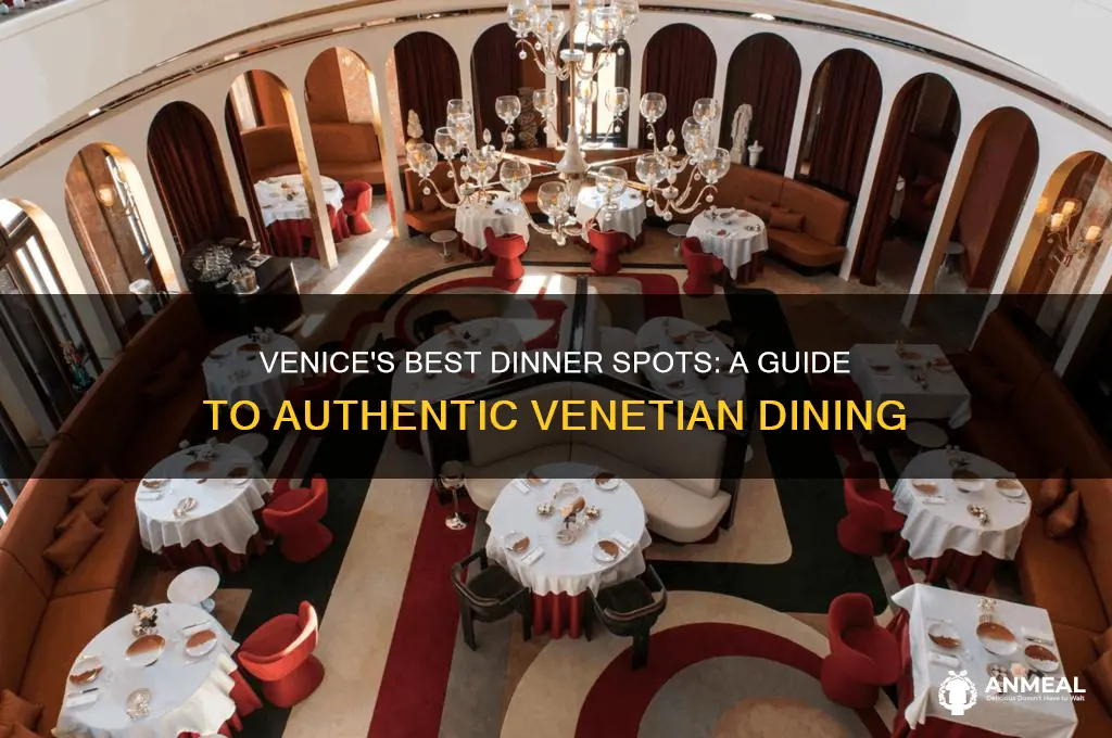 where to have dinner in venice