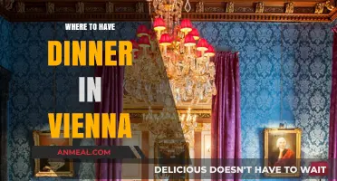Discover Vienna's Best Dinner Spots: A Culinary Journey Through the City