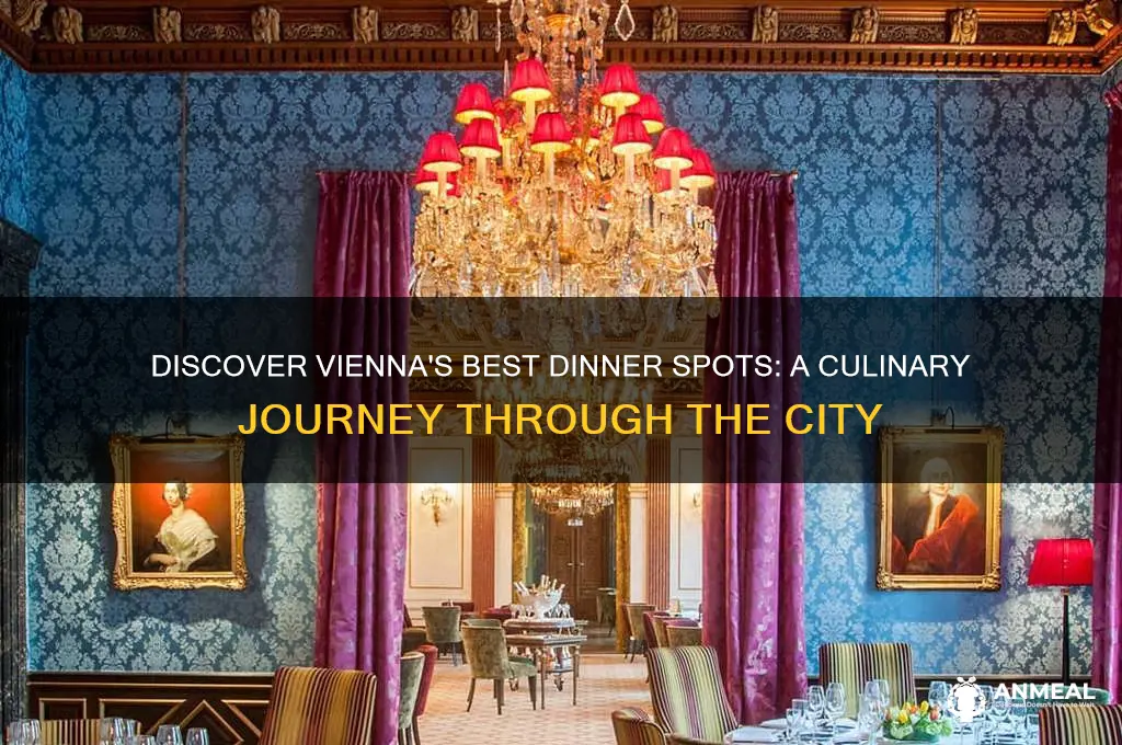where to have dinner in vienna
