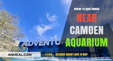 Top Dinner Spots Near Camden Aquarium for a Perfect Evening