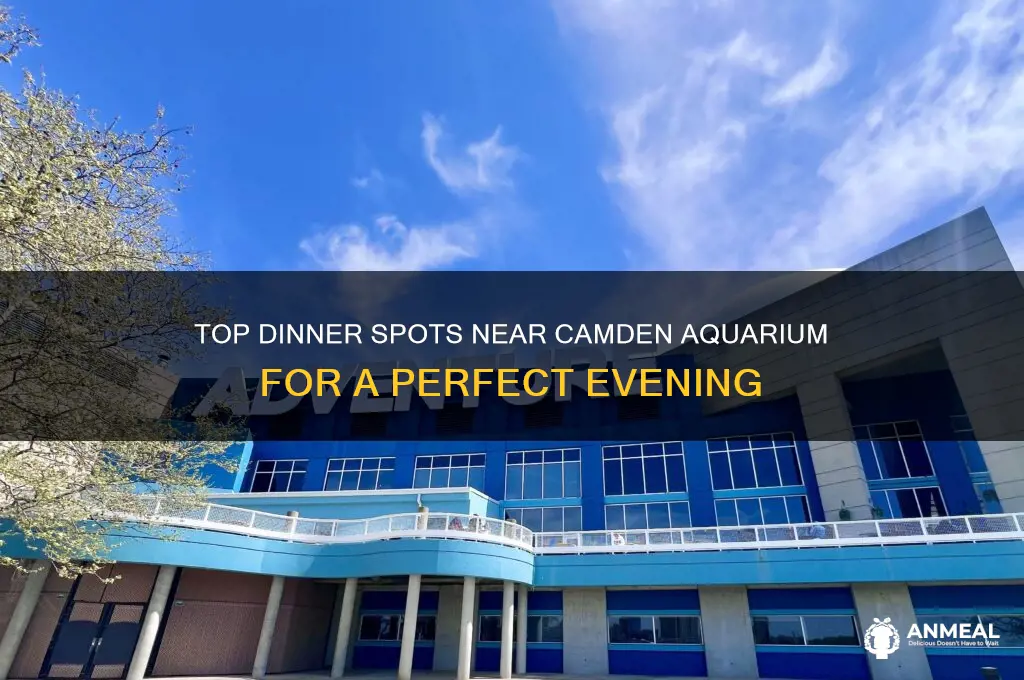 where to have dinner near camden aquarium