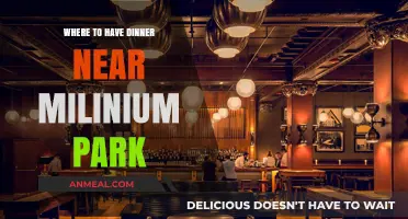 Top Dinner Spots Near Millennium Park for a Perfect Evening