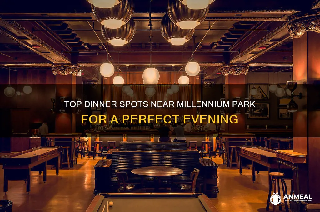 where to have dinner near milinium park