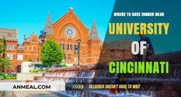 Top Dinner Spots Near University of Cincinnati: A Student's Guide