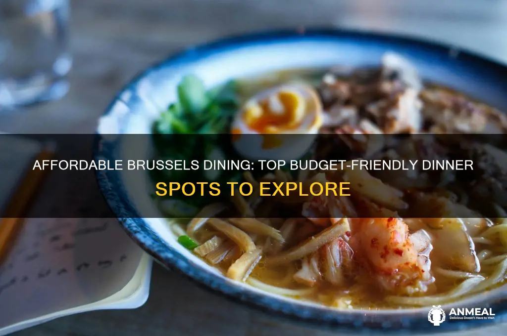 where to have dinner on a budget in brussels