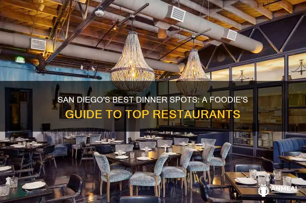 where to have dinner san diego