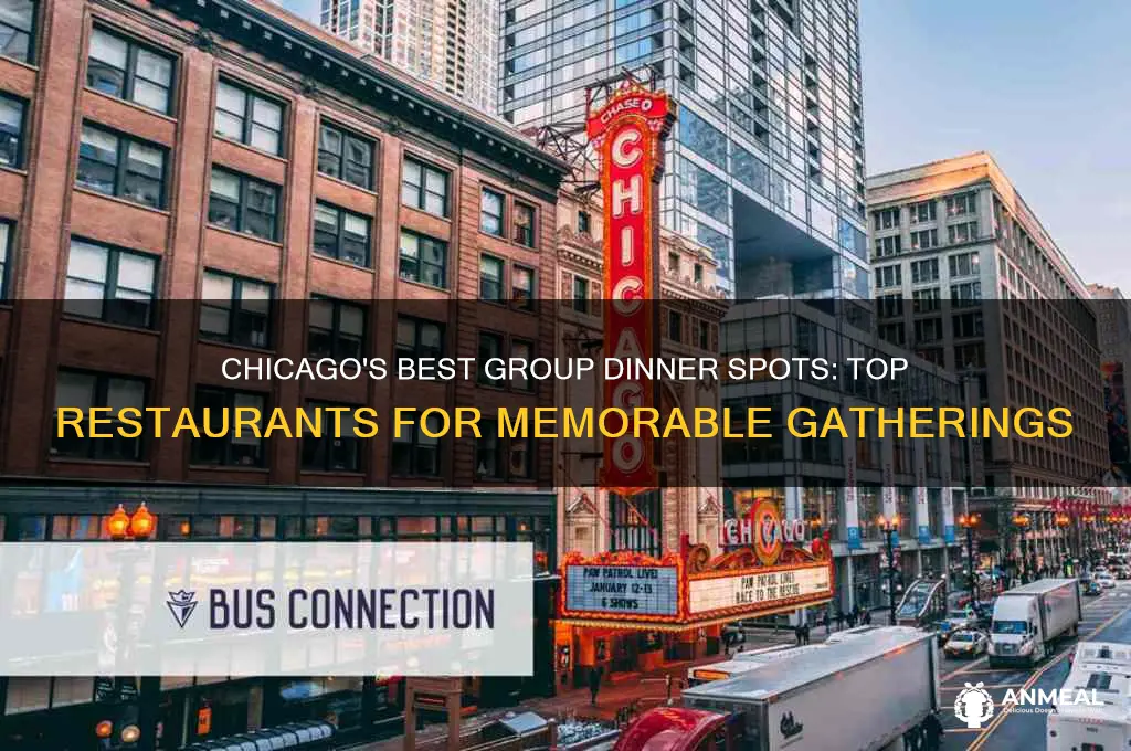 where to have group dinner chicago