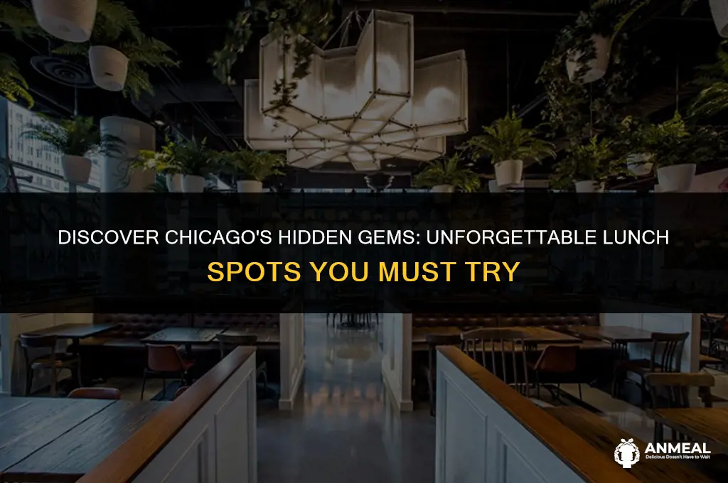 where to have lunch in chicago