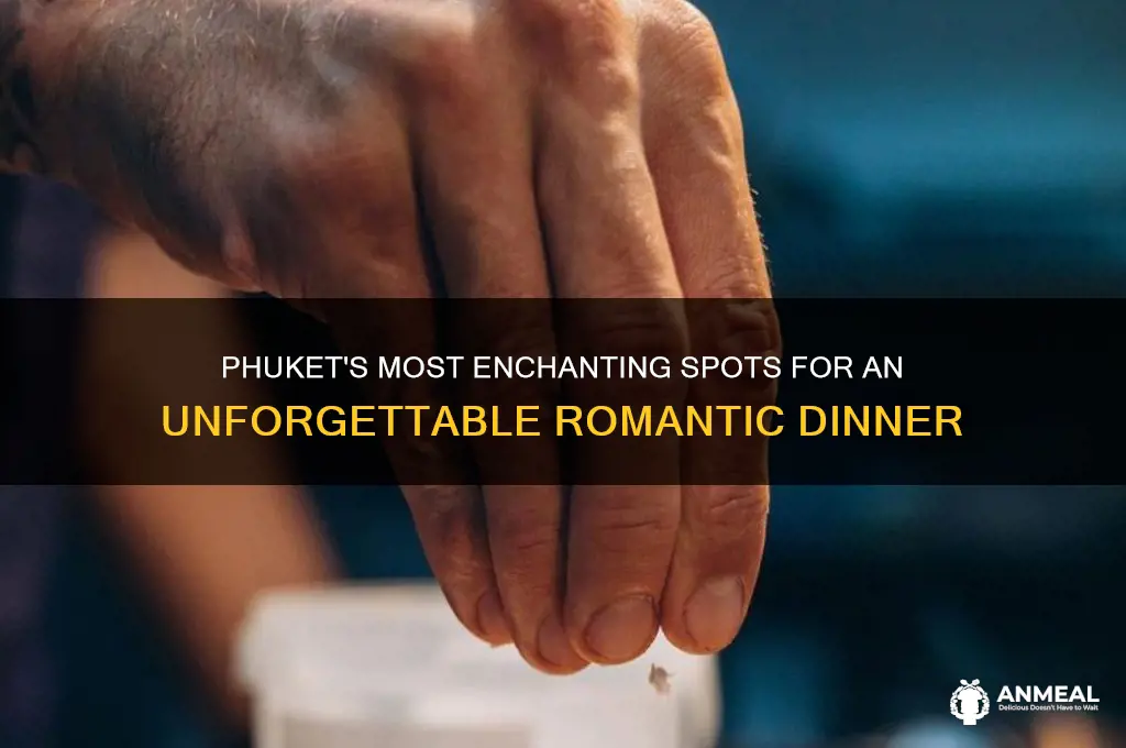 where to have romantic dinner in phuket