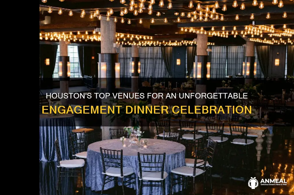 where to host engagement dinner houston